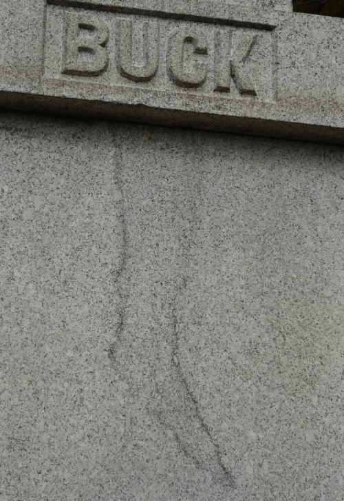 Close-up of a stone surface with the word "BUCK" carved at the top and a faint, vertical line below it.