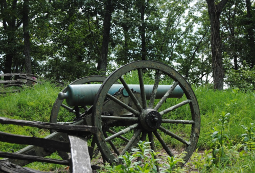 A weathered cannon on a grassy hillside, surrounded by trees and wooden fencing.
