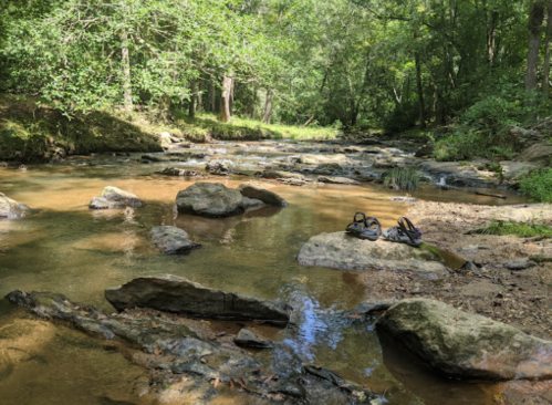 A serene stream flows through a wooded area, with a pair of sandals resting on a rock by the water's edge.
