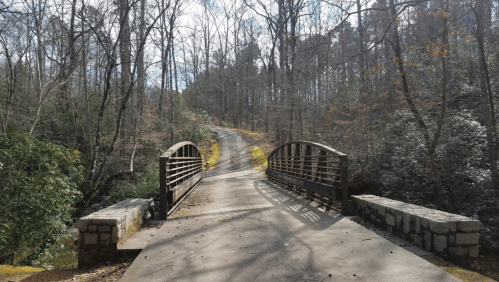 A wooden bridge spans a path through a wooded area, surrounded by trees and a hint of spring foliage.