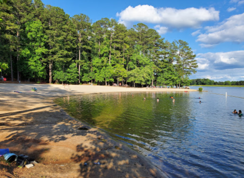 A serene lake scene with sandy shores, green trees, and people swimming and relaxing in the water under a blue sky.