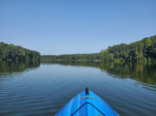A blue kayak on calm water, surrounded by lush green trees under a clear blue sky.