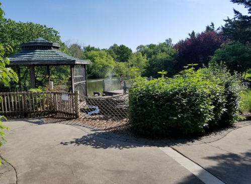 A serene park scene featuring a gazebo, lush greenery, and a calm pond under a clear blue sky.