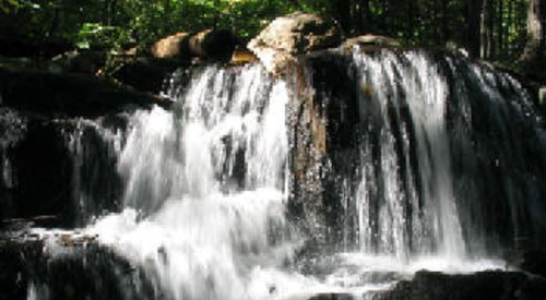 A serene waterfall cascading over rocks, surrounded by lush green foliage in a tranquil forest setting.
