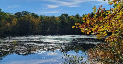 A serene lake surrounded by trees with autumn foliage, reflecting the sky and sunlight on the water's surface.