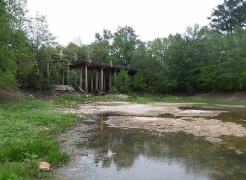 A weathered bridge supported by pillars stands above a dry riverbed surrounded by lush greenery.