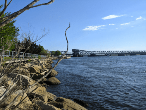 A riverbank scene with rocks, trees, and a bridge in the distance under a clear blue sky.