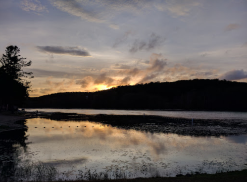 A serene lake at sunset, reflecting clouds and trees, with a calm shoreline and gentle ripples on the water.