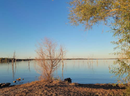 Serene lakeside view with calm water, bare trees reflected, and clear blue sky.