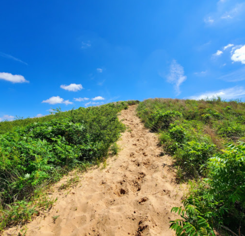 A sandy path leads up a grassy hill under a bright blue sky with a few clouds.
