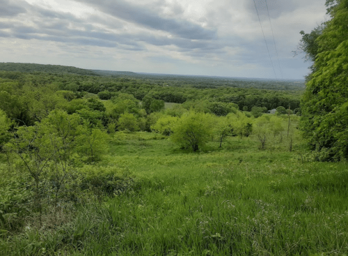 Lush green landscape with rolling hills under a cloudy sky, showcasing a serene natural setting.