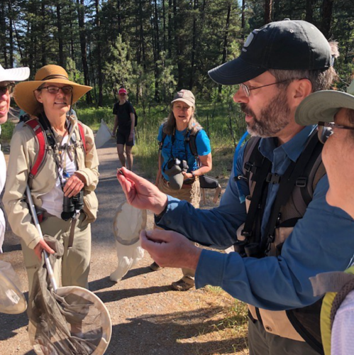A group of people in a forest, some holding nets, as one man shows something in his hand.