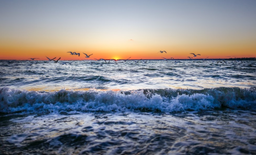 A serene sunset over the ocean, with waves gently crashing and birds flying across the colorful sky.