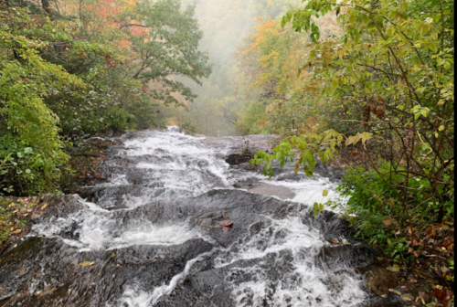 A cascading waterfall flows over rocky terrain, surrounded by lush greenery and autumn-colored trees in a misty landscape.