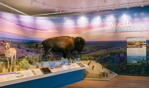 Exhibit featuring a bison and antelope with a scenic backdrop, highlighting conservation themes.