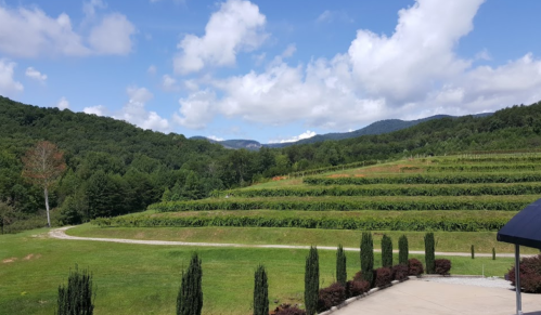 Lush green hills with terraced vineyards under a partly cloudy sky, surrounded by mountains in the distance.