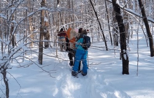 Three people in winter gear walking through a snowy forest, surrounded by trees covered in snow.