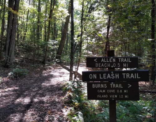 A wooden signpost in a forest, indicating trails: Allen Trail, On Leash Trail, and Burns Trail with distances.