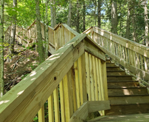 A wooden staircase winds through a lush green forest, surrounded by trees and dappled sunlight.