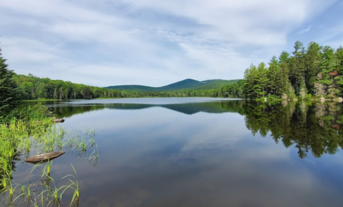 A serene lake surrounded by lush greenery and mountains, reflecting the sky and trees in calm waters.