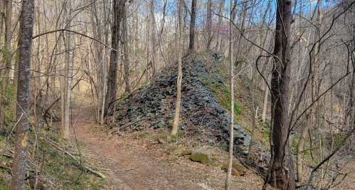 A rocky mound surrounded by bare trees along a dirt path in a wooded area.