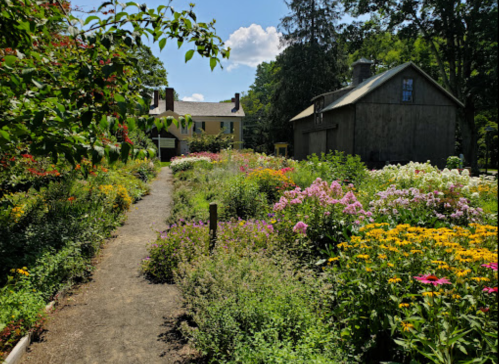 A vibrant garden filled with colorful flowers, leading to a historic house and a rustic barn under a clear blue sky.