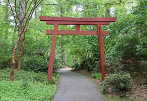 A red torii gate stands at the entrance of a lush, green forest path.
