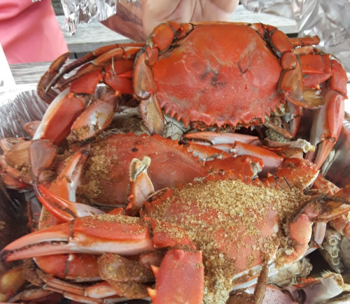 A close-up of cooked crabs in a metal tray, seasoned and ready to eat.