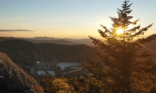 A sunset view over rolling mountains, with a silhouette of a pine tree in the foreground.