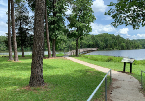 A scenic path leads to a wooden bridge over a calm lake, surrounded by lush greenery and tall trees.