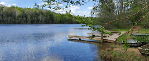 A serene lake scene with wooden docks, surrounded by lush greenery and a clear blue sky.