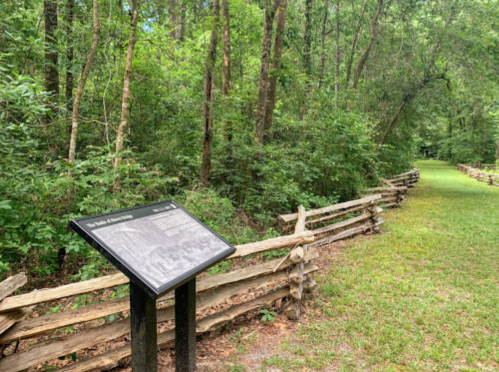 A wooded path with a historical sign and a rustic wooden fence on either side, surrounded by lush greenery.