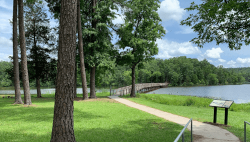 A serene lakeside scene with a wooden bridge, surrounded by trees and green grass under a partly cloudy sky.