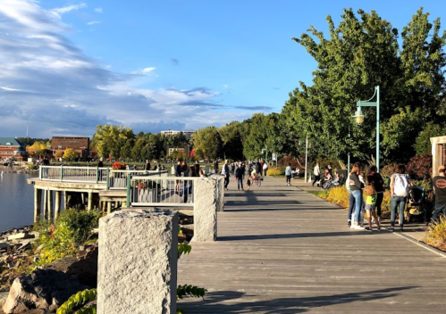 A scenic boardwalk lined with trees, people walking, and a waterfront view under a clear blue sky.