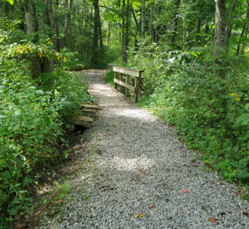 A gravel path leads through a lush green forest, crossing a small wooden bridge.