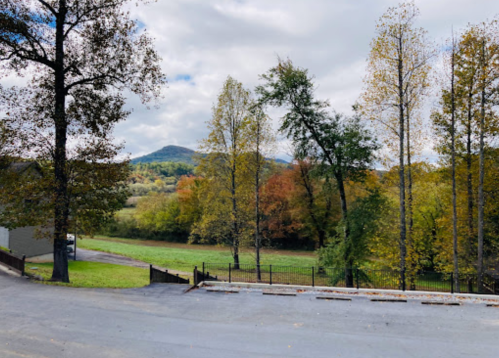 Scenic view of trees with autumn foliage and mountains under a cloudy sky.