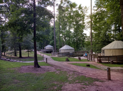 A serene campsite with yurts surrounded by trees, pathways, and a grassy area in a natural setting.