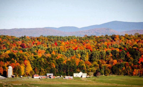 A scenic view of a rural landscape with vibrant autumn foliage and distant mountains.