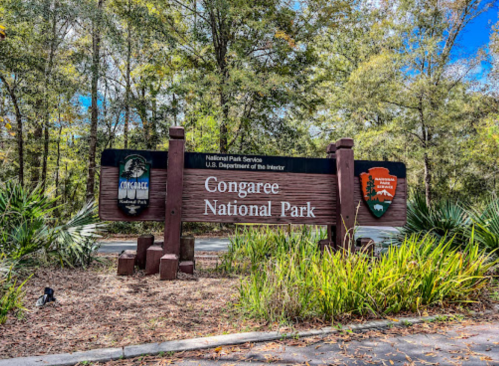 Sign for Congaree National Park, surrounded by greenery and trees, indicating the park's entrance.