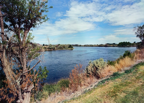 A serene river scene with lush greenery and a clear blue sky, reflecting calm waters and distant trees.