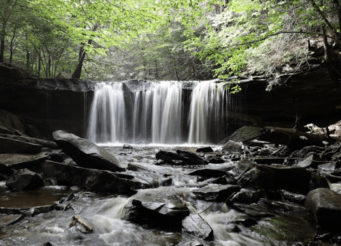 A serene waterfall cascades over rocks, surrounded by lush green trees in a tranquil forest setting.