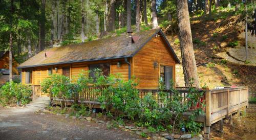 A cozy wooden cabin surrounded by trees, featuring a deck and lush greenery in a serene forest setting.