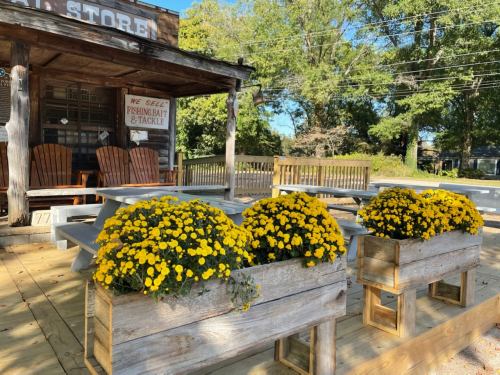 A rustic store with wooden benches and vibrant yellow flowers in planters on a sunny day.