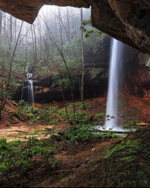 A serene forest scene featuring two waterfalls cascading into a lush, green landscape surrounded by misty trees.