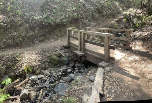 A wooden bridge spans a small stream in a wooded area, surrounded by rocks and greenery.