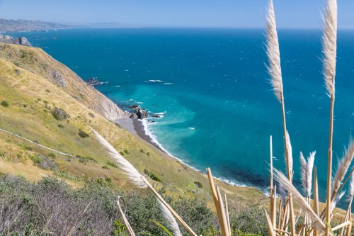 A coastal view with turquoise waters, rocky shores, and grassy hills, framed by tall grasses in the foreground.