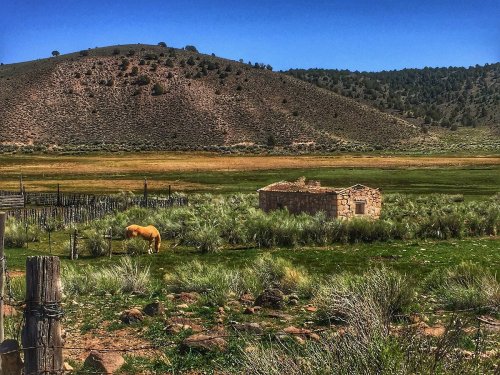 A yellow horse grazes near a weathered stone building in a grassy landscape with rolling hills in the background.
