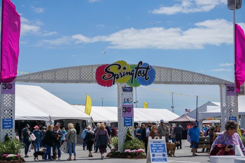 A colorful archway reading "Springfest" welcomes visitors to a lively outdoor festival with tents and crowds.