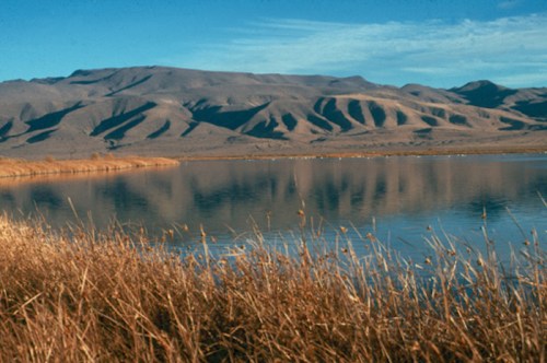 A serene landscape featuring a calm lake reflecting mountains and grassy shorelines under a clear blue sky.