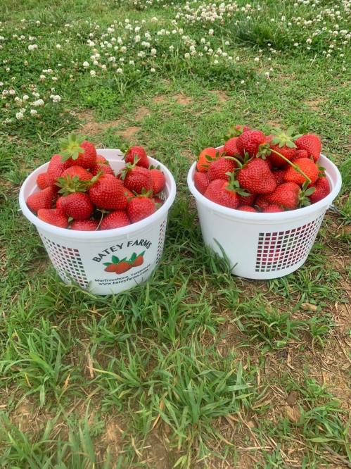 Two white baskets filled with fresh, ripe strawberries sit on green grass.
